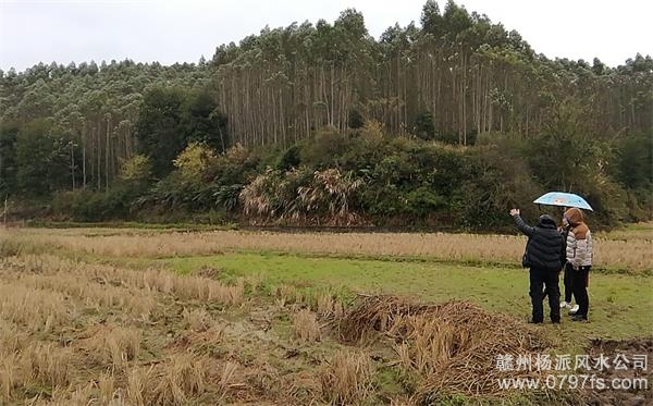 河池市陈老师带着爱徒寻龙点穴